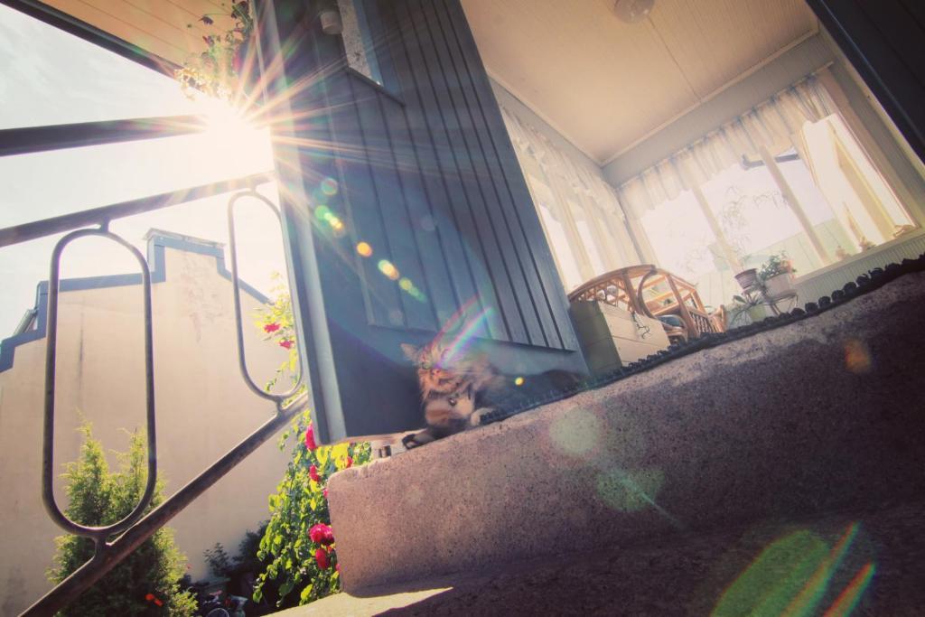 Apartment Hotel Kuukkarin Kortteeri ปอรี ภายนอก รูปภาพ