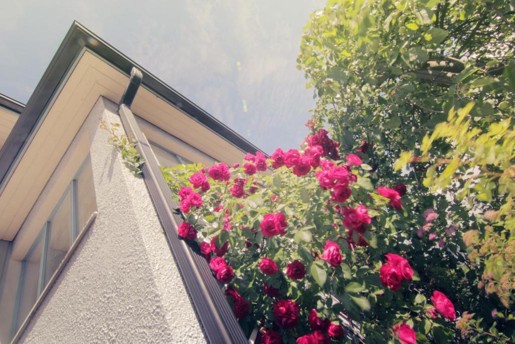 Apartment Hotel Kuukkarin Kortteeri ปอรี ภายนอก รูปภาพ